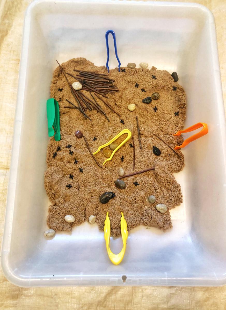 Insect Sensory Bin