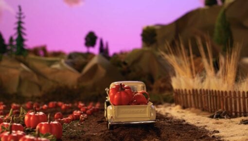 Little pumpkins in the back of a toy truck in a pumpkin patch