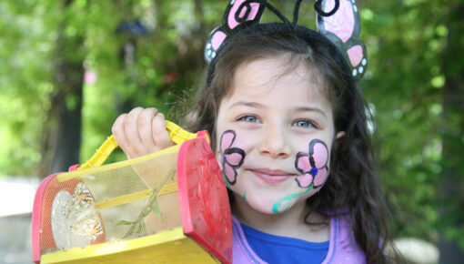 chrysalis carrier butterfly caterpillar