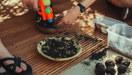 Seed Cake Recipe