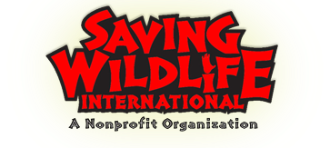 Saving Wildlife International