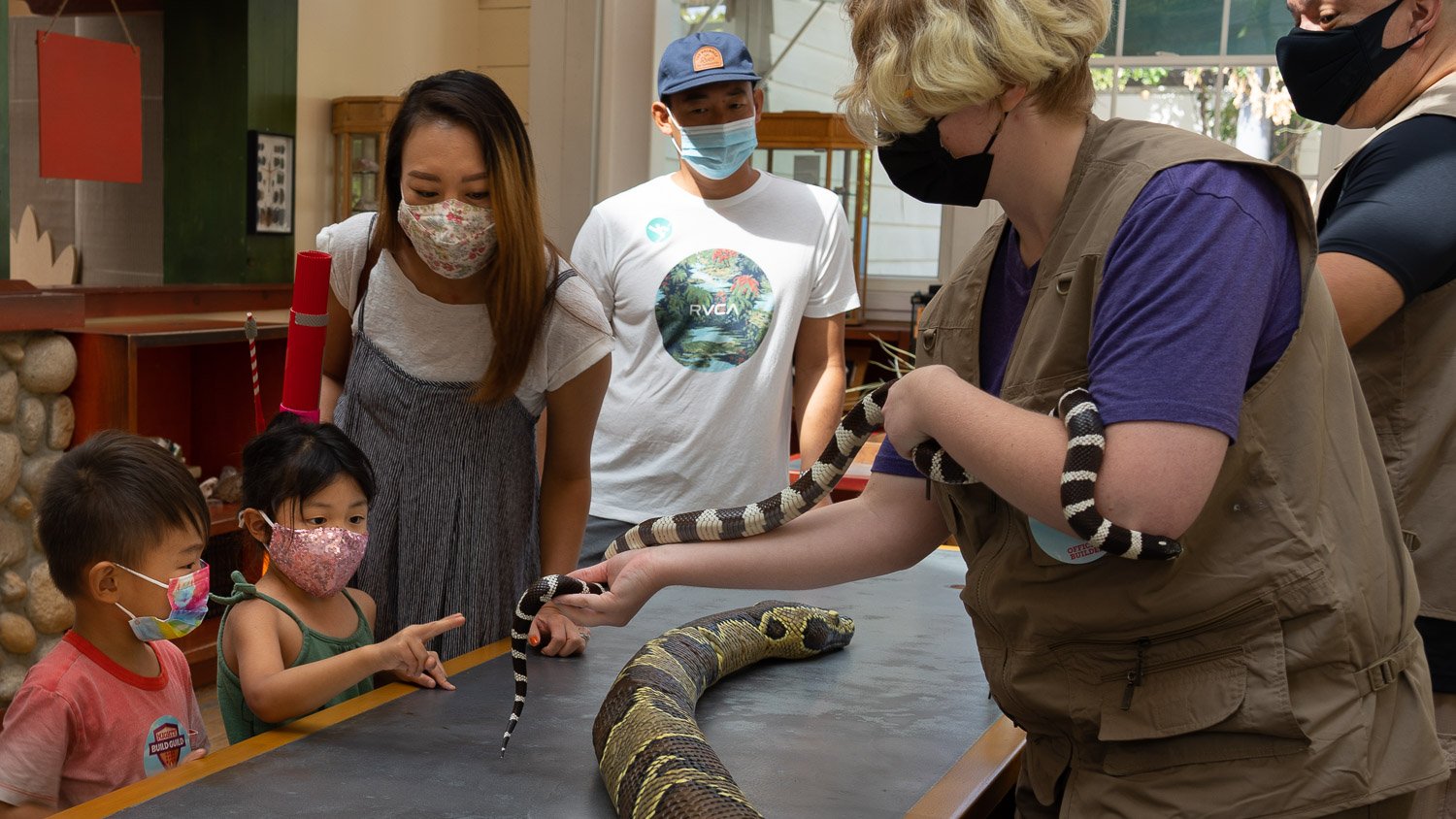 2 niños y su familia se encuentran con una serpiente