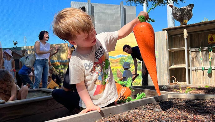 niño recoge una zanahoria gigante