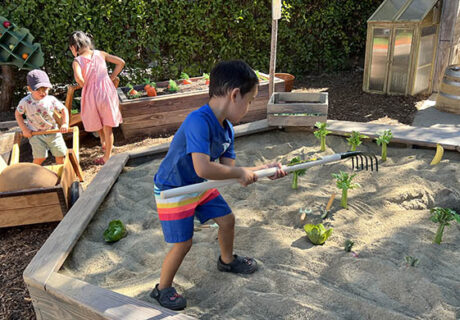 boy rakes a pretend farm