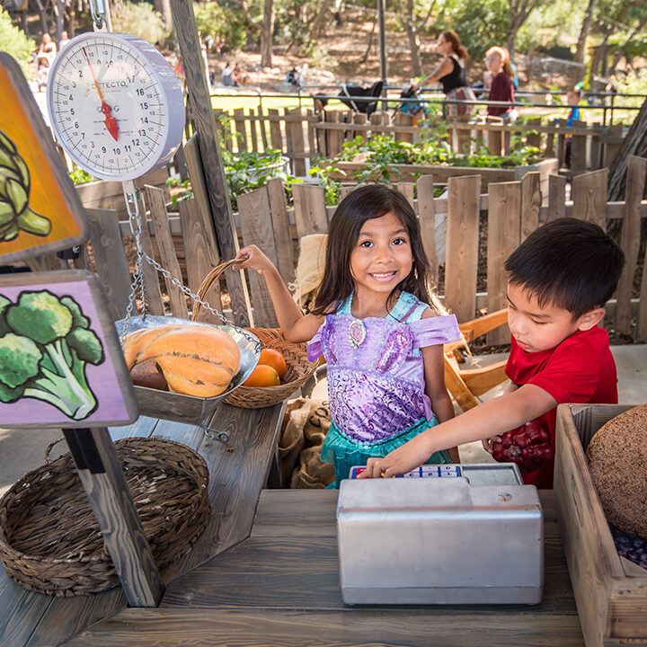 Girl And Boy At Farm Stand Copy