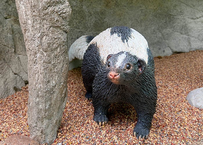 a statue of a friendly skunk in her den