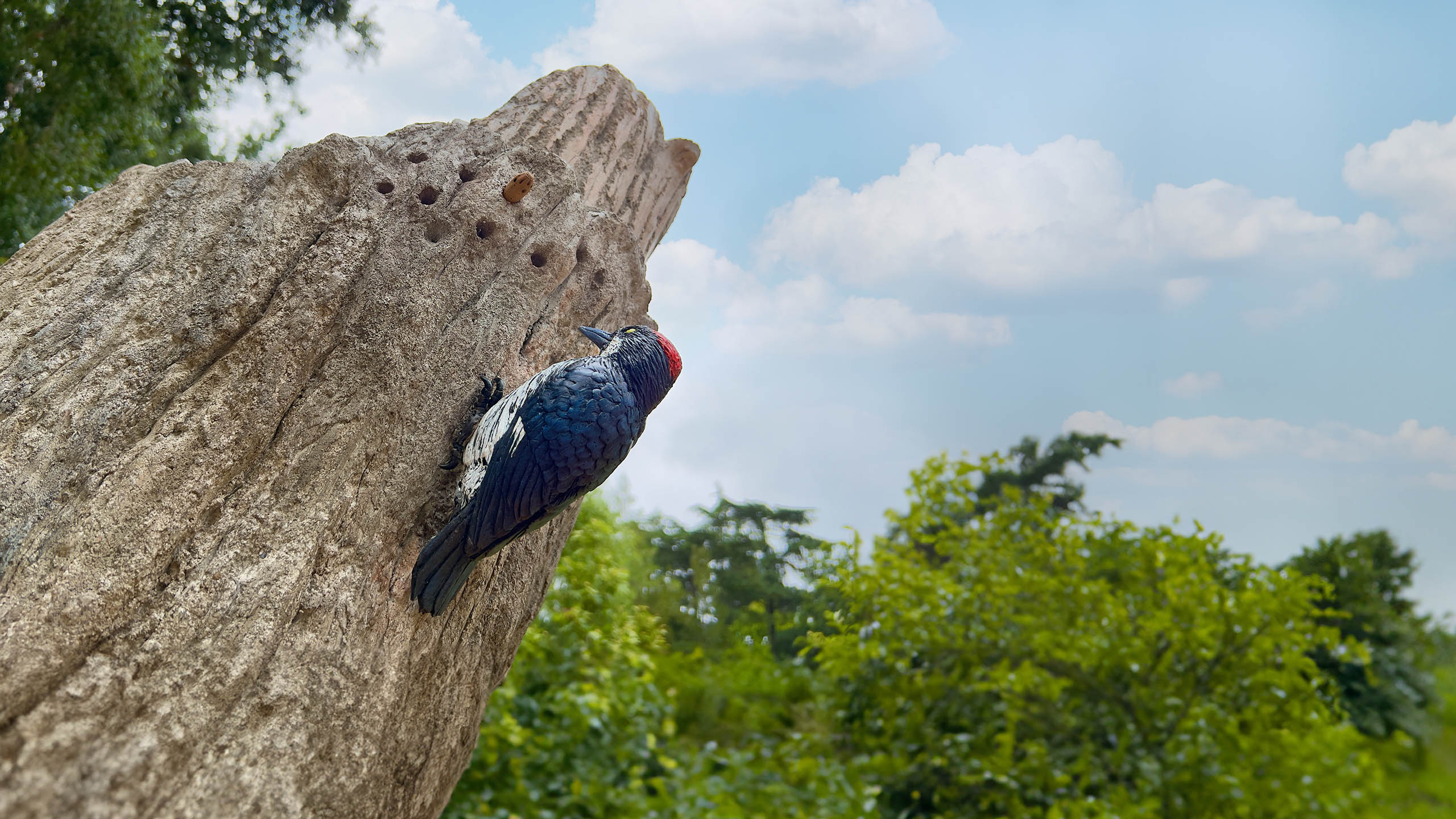 statue of a woodpecker on a tree