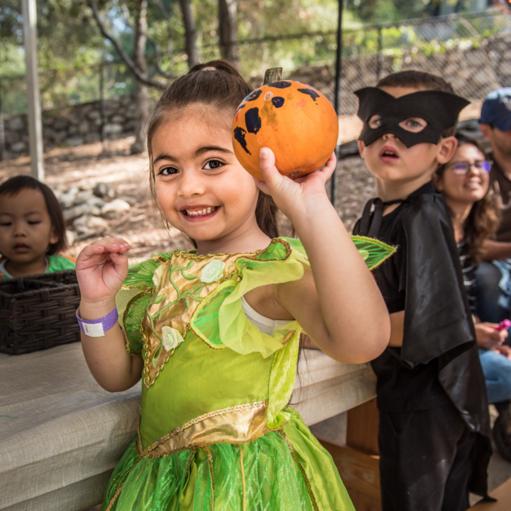 Child in fairy costume proudly holds up a decorated pumpkin