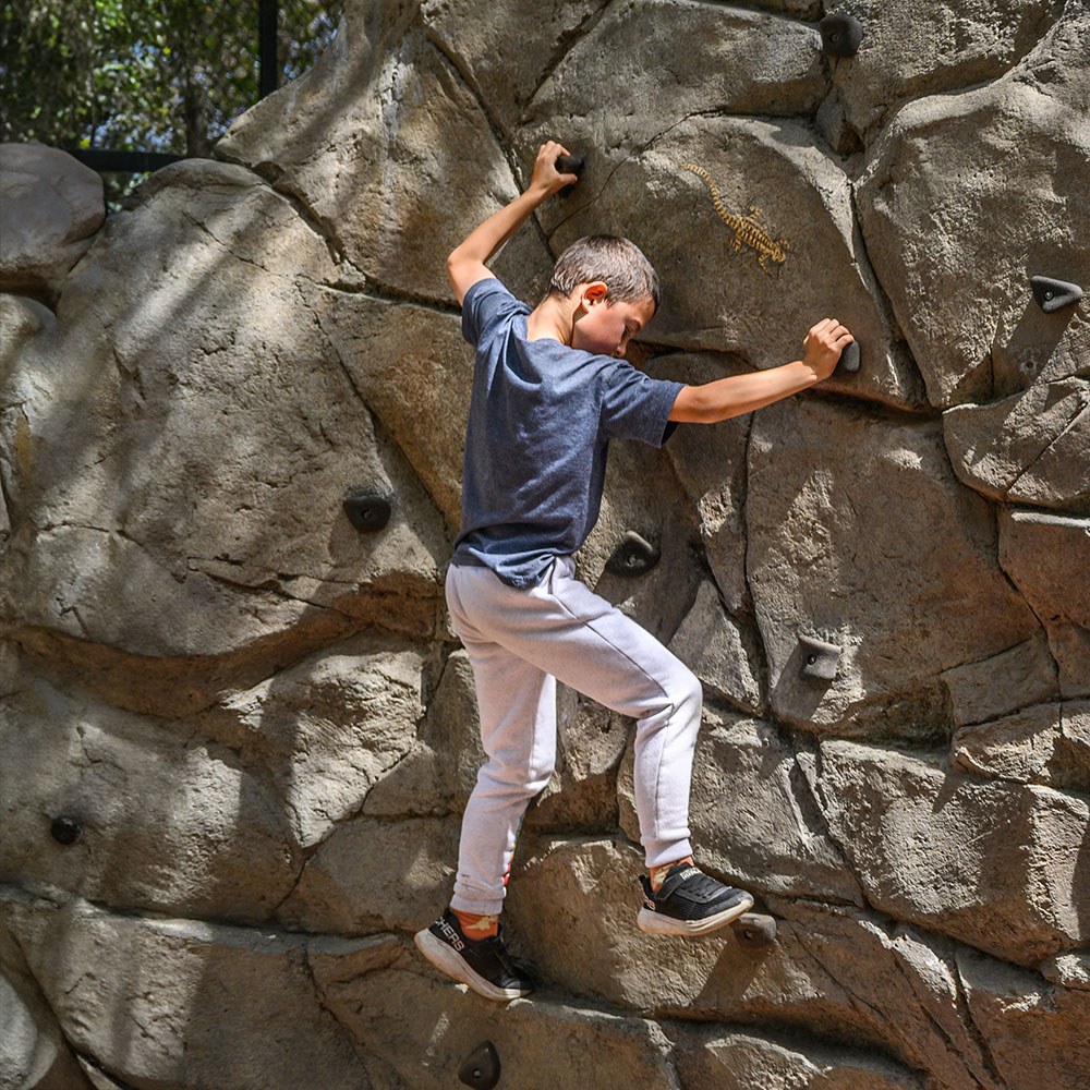 boy explores and climbs on outdoor climbing wall