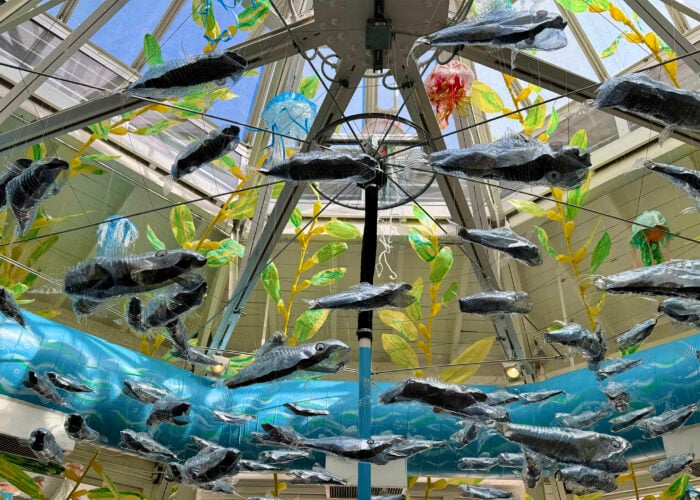 forest_under_the_sea_launch_he