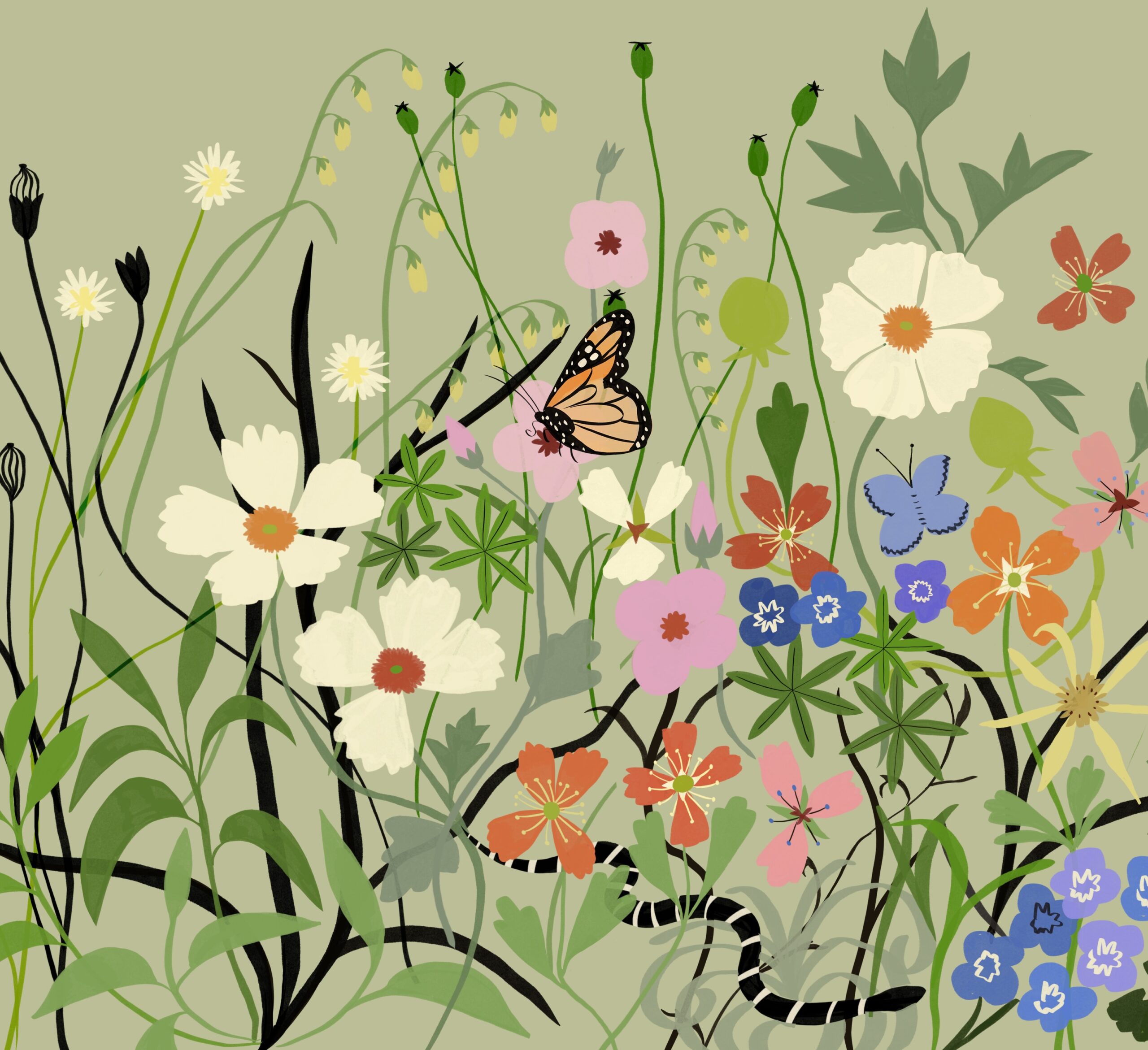 Wildflowers and a butterfly on a sage green background