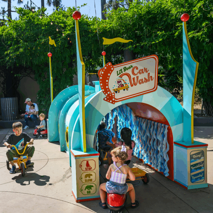 Child riding through play carwash