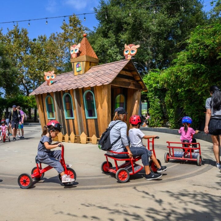 families on trikes