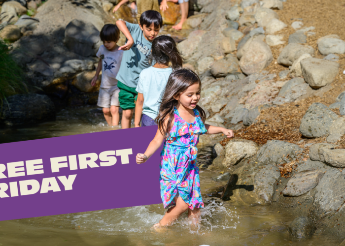 Children in wading water