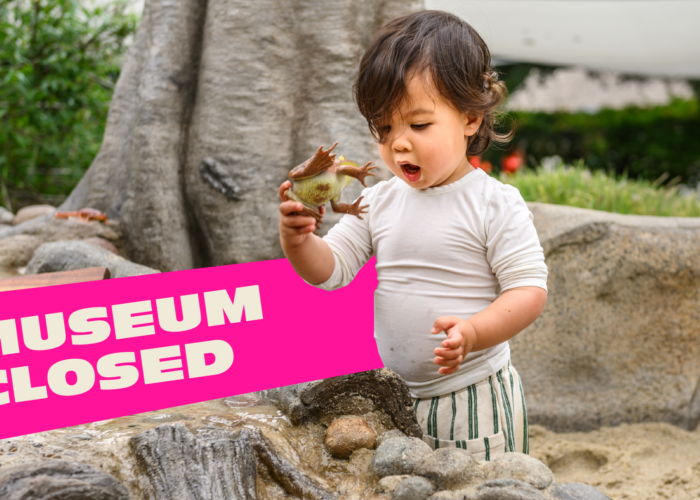 Child surprised with frog toy