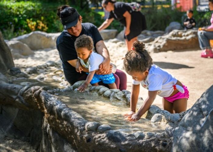 parent and children playing in water