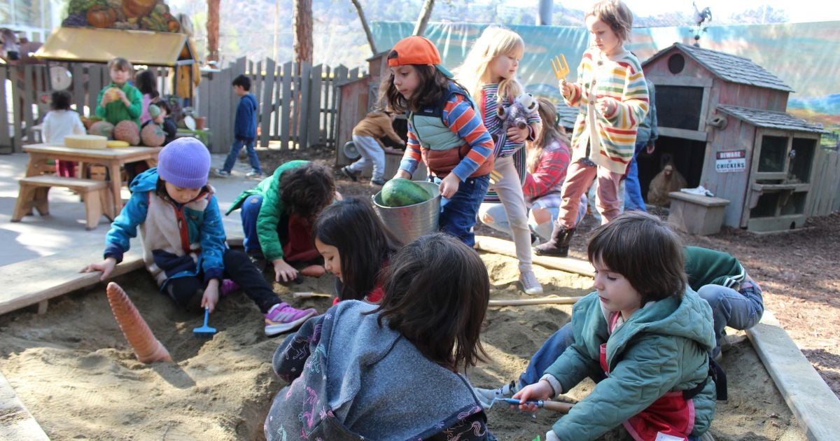 Children plan in a sand box