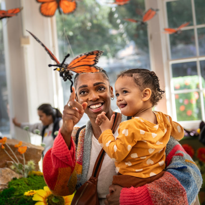 Adult and child looking at an artist created butterfly