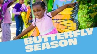 Child with Butterfly Wings and title Butterfly Season