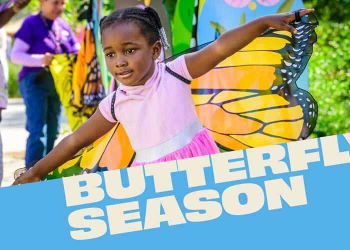 Child with Butterfly Wings and title Butterfly Season