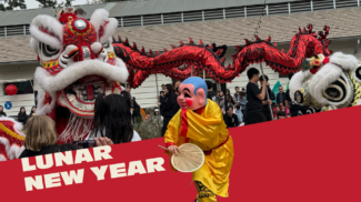 Dragon Dance celebration