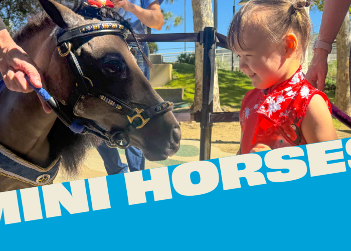 Child smiles eye to eye with a mini horse