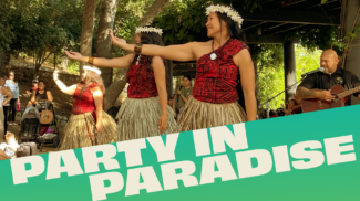 Pacific Island dancers